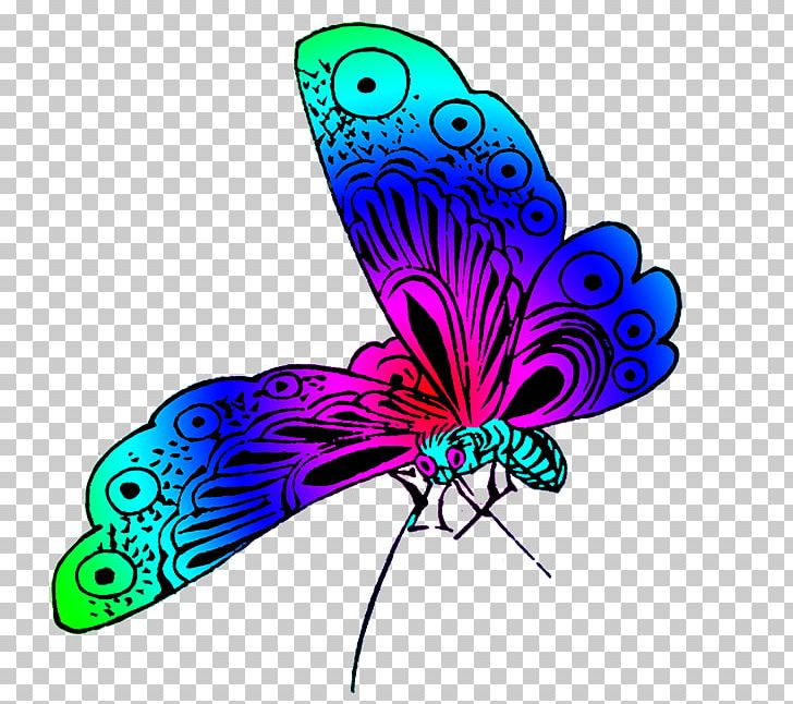 Butterfly Desktop Color PNG, Clipart, Butterflies And Moths, Butterfly, Color, Desktop Wallpaper, Drawing Free PNG Download