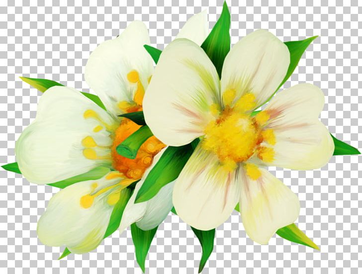 Color Astana PNG, Clipart, Alstroemeriaceae, Amaryllis Family, Astana, Color, Cut Flowers Free PNG Download