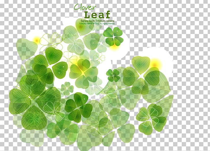 Four-leaf Clover PNG, Clipart, 4 Leaf Clover, Autumn Leaf Color, Clover, Clover Border, Clover Leaf Free PNG Download