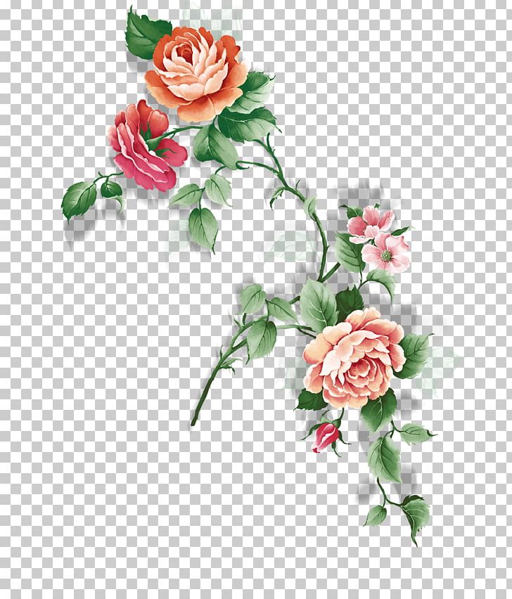 Garden Roses Rosa Chinensis Centifolia Roses Flower PNG, Clipart, Artificial Flower, Beauti, Color, Flower Arranging, Flowers Free PNG Download