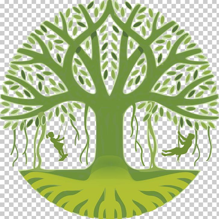 CAPACES Leadership Institute Organization Child Tree PNG, Clipart, Branch, Business, Capaces Leadership Institute, Child, Circle Free PNG Download