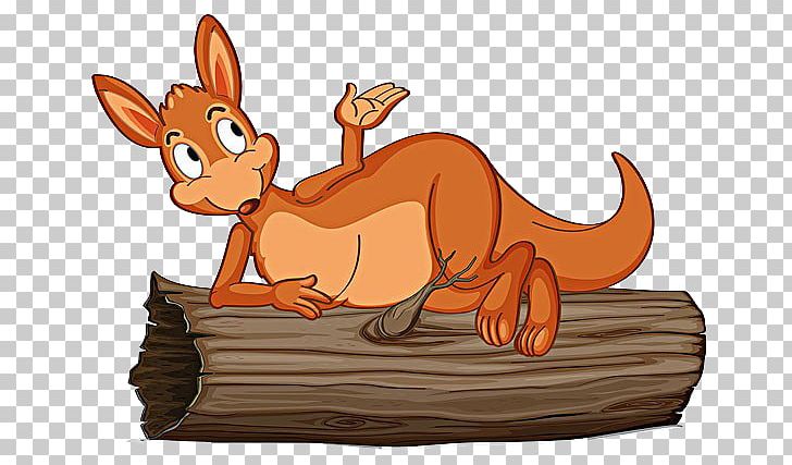Koala Kangaroo Cartoon Illustration PNG, Clipart, Animals, Carnivoran, Cat Like Mammal, Cuteness, Dog Like Mammal Free PNG Download