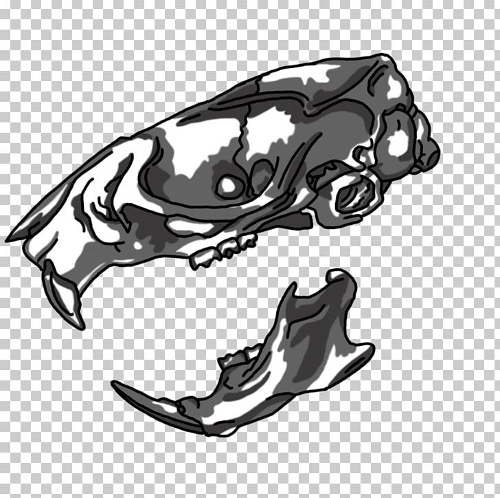 Laboratory Rat Skull Drawing PNG, Clipart, Animal, Animals, Automotive Design, Black And White, Drawing Free PNG Download