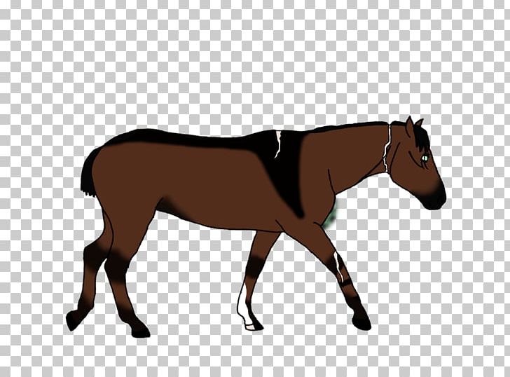 Mule Foal Stallion Bridle Pony PNG, Clipart, 5 Years, Bit, Bridle, Colt, Endeavour Free PNG Download