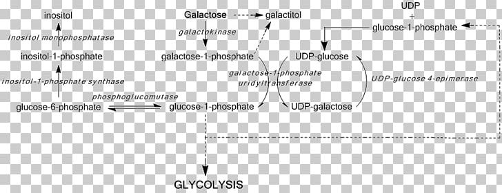 UDP-glucose 4-epimerase Galactose Epimerase Deficiency Galactosemia Uridine Diphosphate Glucose PNG, Clipart, Angle, Area, Black And White, Diagram, Disaccharide Free PNG Download