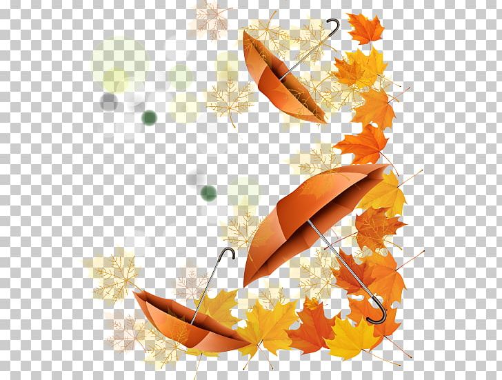 Autumn Illustration PNG, Clipart, Art, Autumn Leaf, Autumn Leaf Color, Beautiful Vector, Beauty Free PNG Download