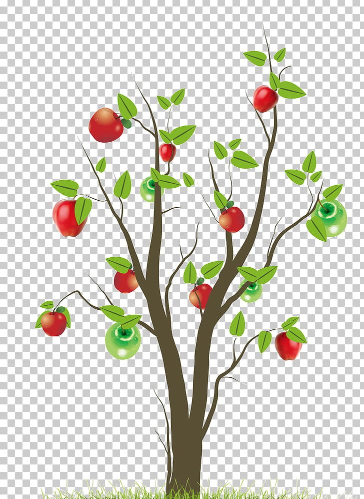 Fruit Tree PNG, Clipart, Apple, Apple Fruit, Apples, Apple Tree, Berry Free PNG Download