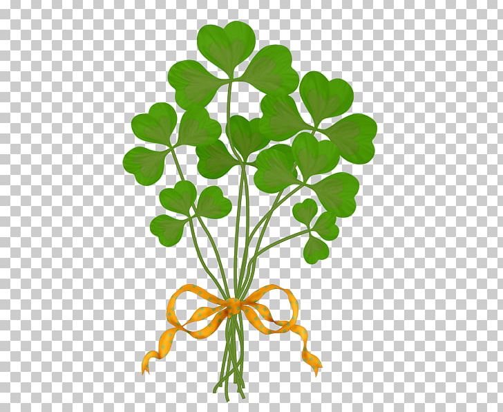 Green Four-leaf Clover Flower PNG, Clipart, Background Green, Branch, Clover, Drawing, Flora Free PNG Download