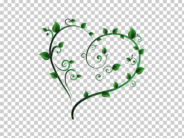 Leaf Ecology Green Plant PNG, Clipart, Botany, Branch, Bud, Circle, Computer Icons Free PNG Download