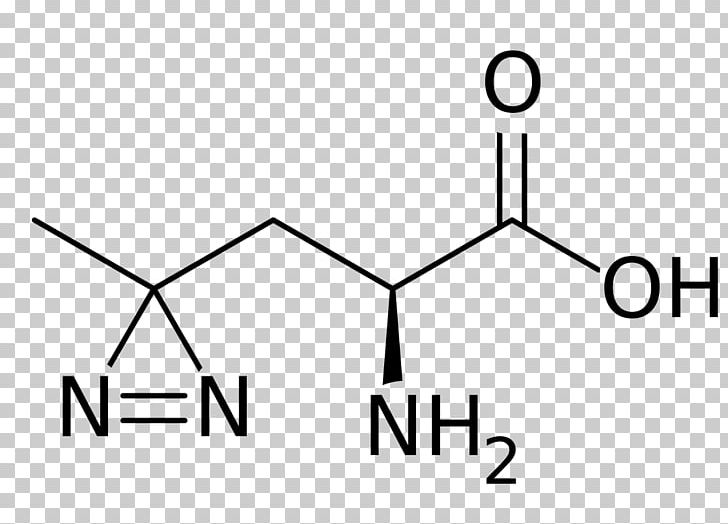 Amino Acid Histidine Alanine Lysine Methyl Group PNG, Clipart, Acid, Alanine, Amino Acid, Angle, Area Free PNG Download
