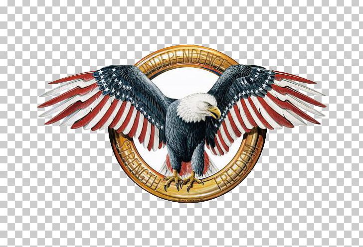 Bald Eagle American Eagle Outfitters T-shirt PNG, Clipart, American, American Eagle, American Flag, American Football, American Silver Eagle Free PNG Download