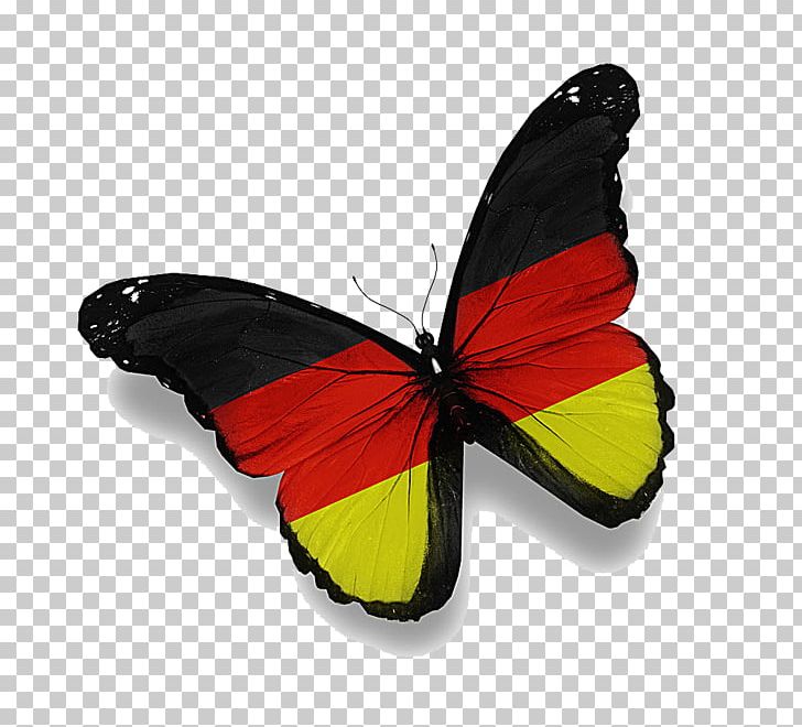 Germany Rio De Janeiro Flag Of Saudi Arabia PNG, Clipart, American Flag, Arthropod, Australia Flag, Brush Footed Butterfly, Flag Free PNG Download