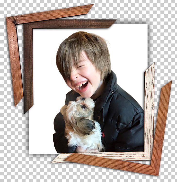 Puppy Dog Breed Frames PNG, Clipart, Animals, Art, Artistry, Box, Breed Free PNG Download