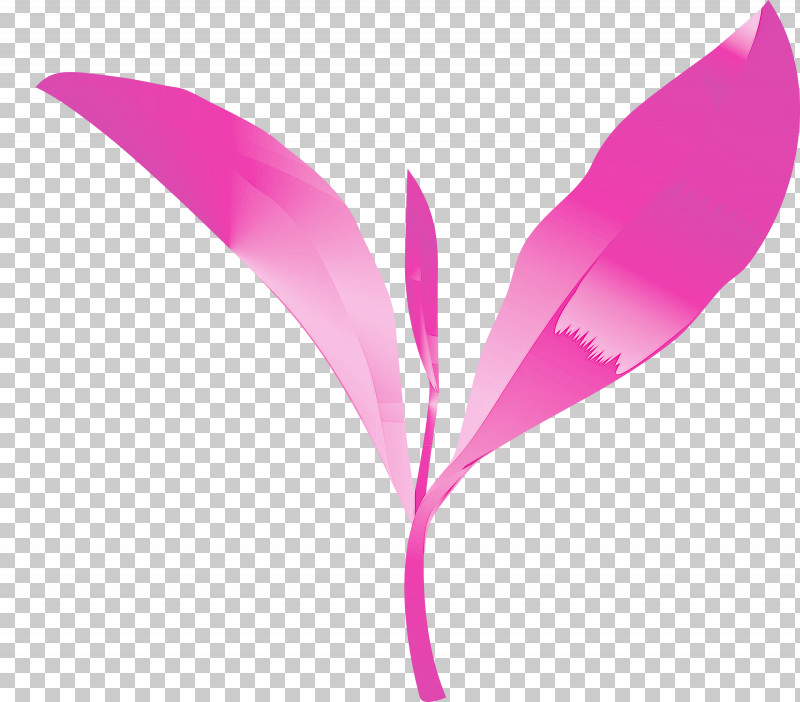 Tea Leaves Leaf Spring PNG, Clipart, Feather, Flower, Leaf, Magenta, Petal Free PNG Download