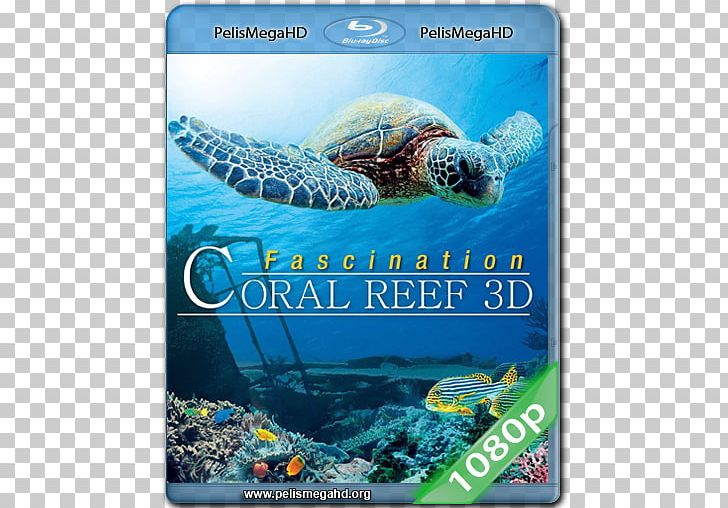 Blu-ray Disc 3D Film 1080p Digital Copy Documentary Film PNG, Clipart, 3d Film, 1080p, Advertising, Bluray Disc, Compact Disc Free PNG Download