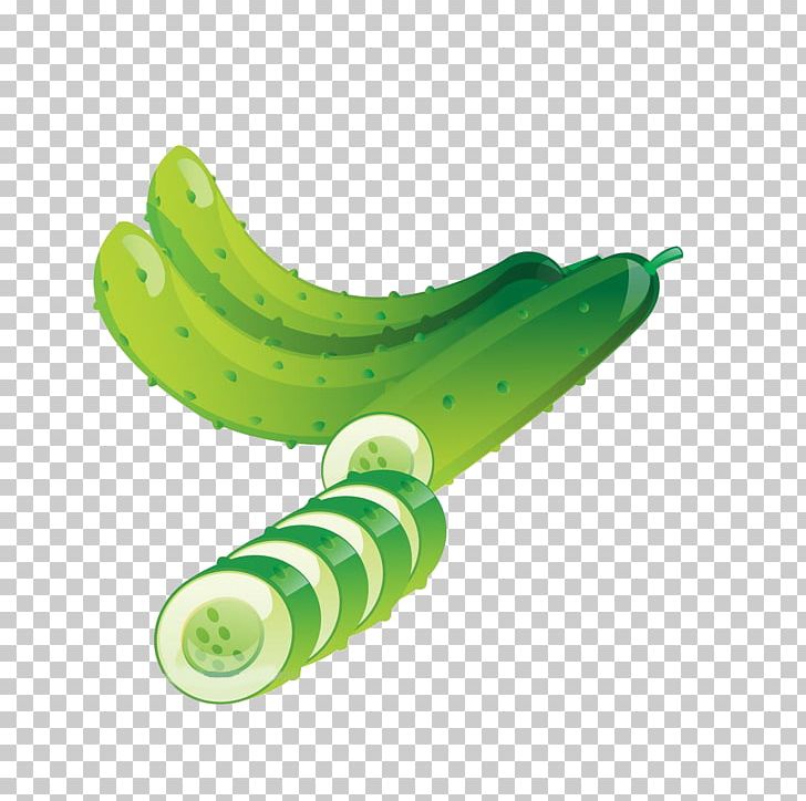 Cucumber Vegetable Illustration PNG, Clipart, Armenian Cucumber, Cucumber, Cucumber Cartoon, Cucumber Juice, Cucumber Slice Free PNG Download