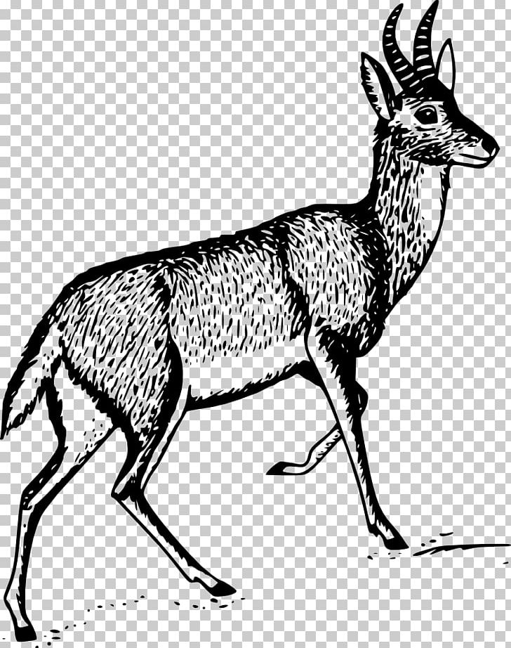Deer Gazelle Bohor Reedbuck PNG, Clipart, Animals, Antelope, Antler, Art, Black And White Free PNG Download