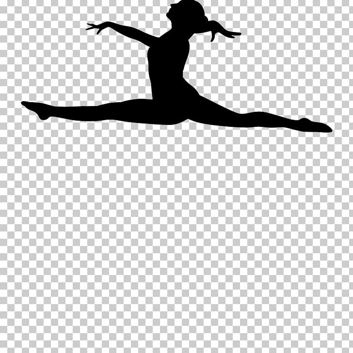 Artistic Gymnastics Dance Desktop Sport PNG, Clipart, Acro Dance, Arm, Artistic Gymnastics, Ballet, Ballet Dancer Free PNG Download