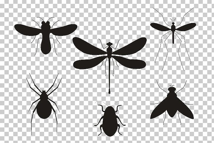 Insect Butterfly Euclidean PNG, Clipart, Animals, Arthropod, Birds And Insects, Black, Black Free PNG Download
