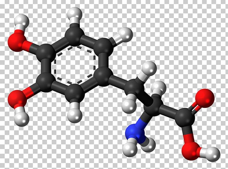 Tyrosine Ball-and-stick Model Levodopa Norepinephrine Molecule PNG, Clipart, Amino Acid, Ballandstick Model, Body Jewelry, Carbidopalevodopa, Catecholamine Free PNG Download