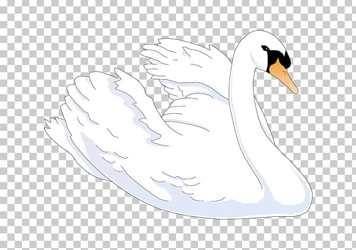 Duck Cygnini Cartoon Feather Illustration PNG, Clipart, Aile, Animals, Beak, Bird, Black Swan Free PNG Download