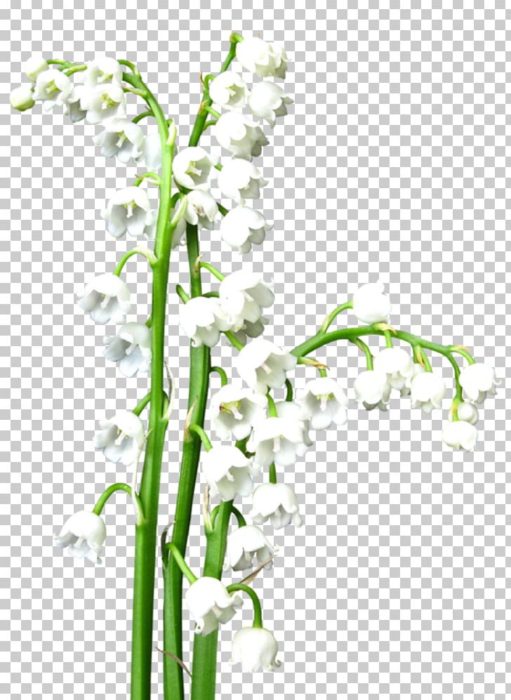 Lily Of The Valley Floral Design Flower PNG, Clipart, Branch, Computer Icons, Drawing, Fleur Blanche, Flor Free PNG Download