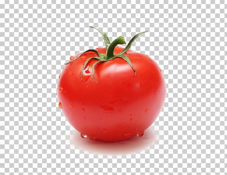 Plum Tomato Bush Tomato Cherry Tomato Stock Photography Food PNG, Clipart, Acerola, Apple, Batavia, Bush Tomato, Cherry Tomato Free PNG Download