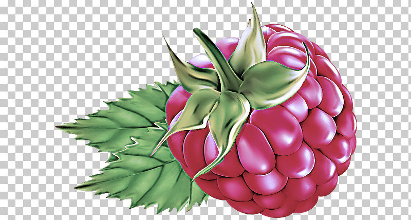 Natural Foods Pink Plant Leaf Fruit PNG, Clipart, Berry, Food, Fruit, Leaf, Natural Foods Free PNG Download