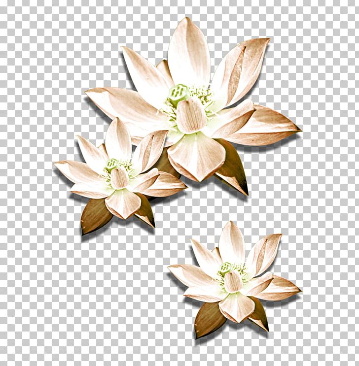 Cut Flowers Nelumbo Nucifera Icon PNG, Clipart, Cut Flowers, Download, Flower, Flowering Plant, Hand Drawn Free PNG Download