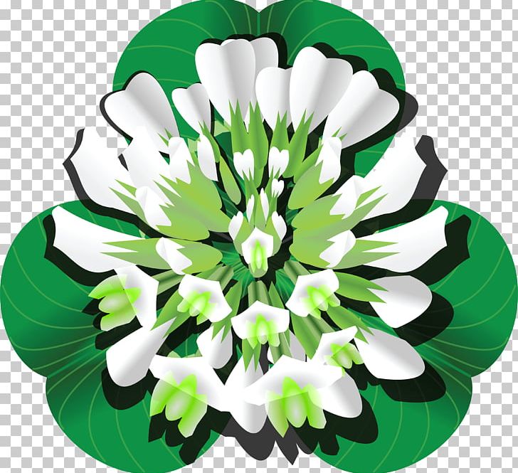 Four-leaf Clover Shamrock White Clover PNG, Clipart, Annual Plant, Clover, Cloverleaves Background, Computer Icons, Cut Flowers Free PNG Download