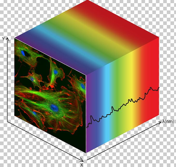 Hyperspectral Imaging Data Cube Photon Etc. Market Analysis Multispectral PNG, Clipart, Analysis, Cube, Data Cube, Forecast, Global Free PNG Download