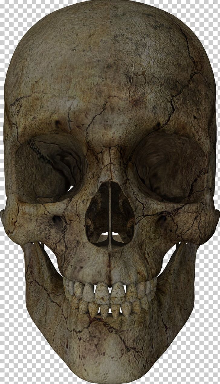 Skull Blog Totenkopf Bone Rendering PNG, Clipart, Adobe Photoshop Express, Blog, Bone, Fantasy, Head Free PNG Download