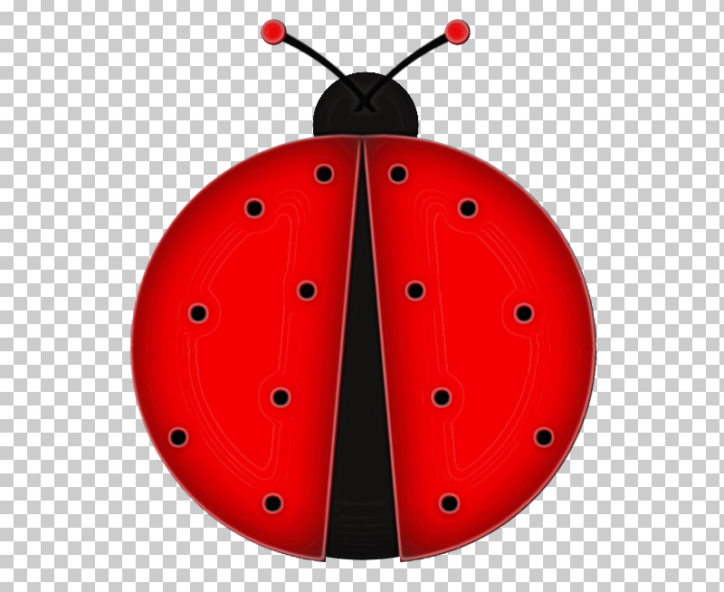 Ladybird Beetle Insect Blog Cartoon Scrapbooking PNG, Clipart, Blog, Cartoon, Insect, Ladybird Beetle, Paint Free PNG Download