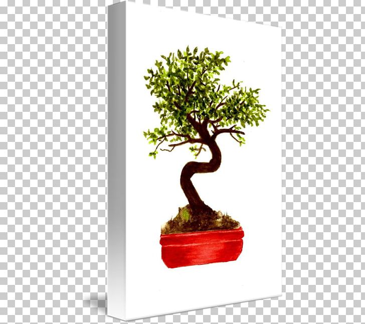 Chinese Sweet Plum Flowerpot Tree Sageretia PNG, Clipart, Bonsai, Chinese Tree, Flowerpot, Houseplant, Plant Free PNG Download