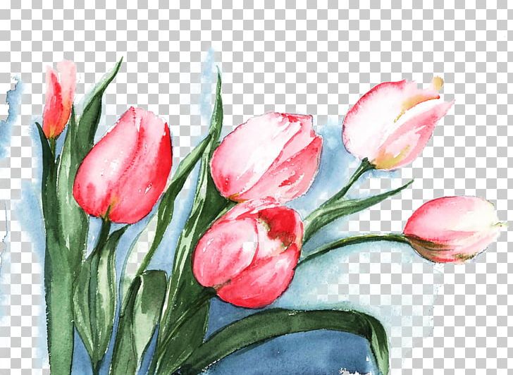 Tulip Watercolor Painting Flower PNG, Clipart, Cut Flowers, Decorative, Flower Arranging, Flowers, Paint Free PNG Download