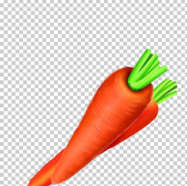 Carrot Vegetable Carotene Food Radish PNG, Clipart, Bell Peppers And Chili Peppers, Betacarotene, Bunch Of Carrots, Carotene, Carrot Free PNG Download