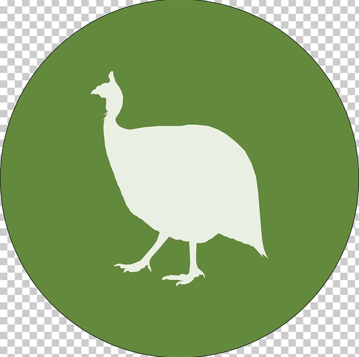 Cryptocurrency Ekka Organization Sustainability Nano PNG, Clipart, Beak, Bird, Bitcoin, Brisbane, Chicken Free PNG Download