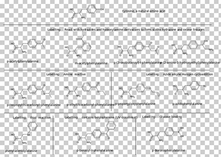 Document Line Art Angle PNG, Clipart, Angle, Area, Art, Black And White, Code Free PNG Download