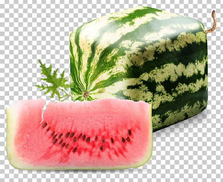 Square Watermelon Seed PNG, Clipart, Citrullus, Cube, Cucumber Gourd And Melon Family, Diet Food, Food Free PNG Download