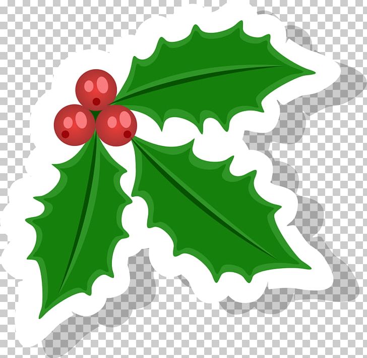 AJ Construction & Roofing Holly Android PNG, Clipart, Android, Aquifoliaceae, Aquifoliales, Christmas Ornament, Coreldraw Free PNG Download