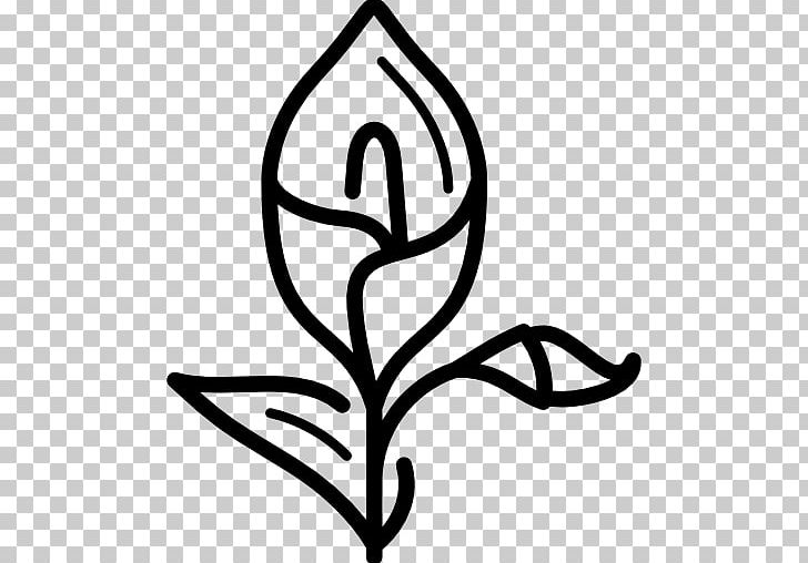 Computer Icons Flower PNG, Clipart, Artwork, Black And White, Branch, Calla Lily, Callalily Free PNG Download