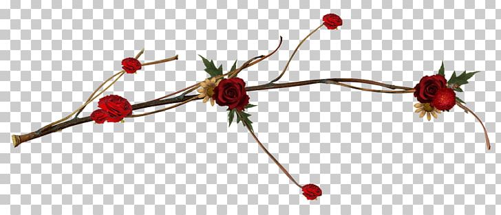 Cut Flowers Twig Rose Hip Plant Stem PNG, Clipart, Branch, Branching, Cut Flowers, Flower, Flowering Plant Free PNG Download