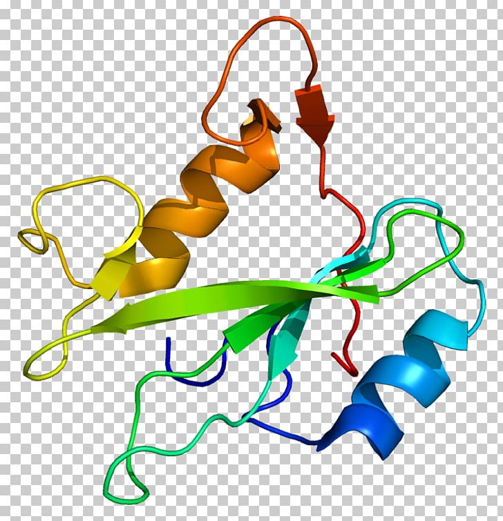 PIK3R3 Retinoblastoma Protein Phosphoinositide 3-kinase IRS1 PNG, Clipart, 3 R 3, Artwork, Branch, Insulin, Insulin Receptor Free PNG Download