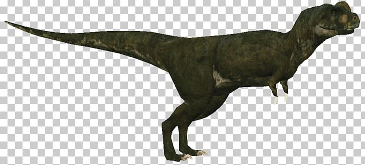 Tyrannosaurus Velociraptor Animal PNG, Clipart, Animal, Animal Figure, Dinosaur, Extinction, Terrestrial Animal Free PNG Download
