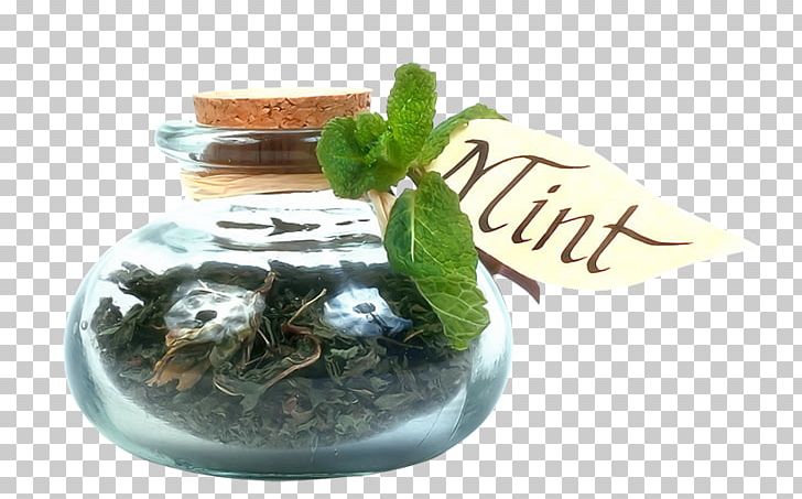 Condiment Herb Spice Mint Seasoning PNG, Clipart, Bottle, Bottles, Broken Glass, Condiment, Flowerpot Free PNG Download