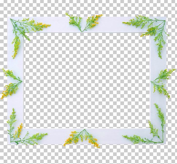 Frames Desktop Text Blog PNG, Clipart, Bible, Blog, Border, Branch, Christianity Free PNG Download