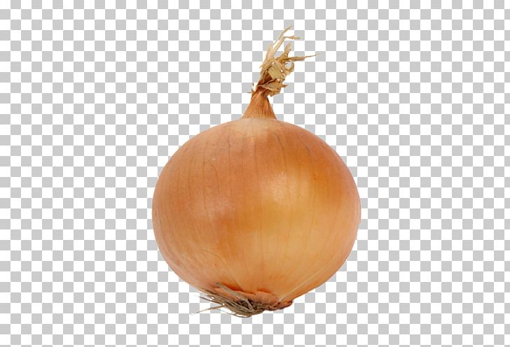 Yellow Onion Shallot Vegetarian Cuisine Calabaza PNG, Clipart, Calabaza, Common Bean, Dill, Food, Green Bean Free PNG Download
