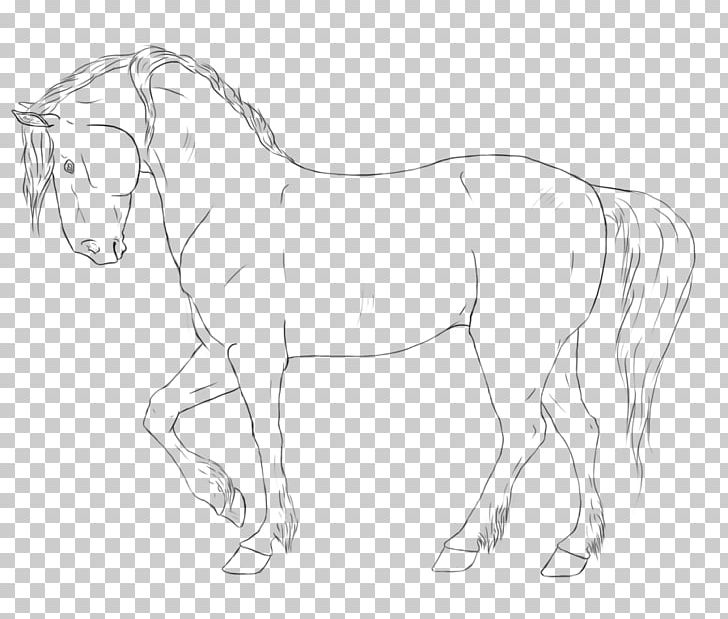 American Quarter Horse Friesian Horse Mustang Racking Horse Appaloosa PNG, Clipart, Animal, Animal Figure, Appaloosa, Arm, Artwork Free PNG Download