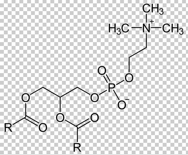 Lecithin–cholesterol Acyltransferase Lysophosphatidylcholine Phosphatidylserine PNG, Clipart, Angle, Area, Auto Part, Black And White, Chemical Structure Free PNG Download
