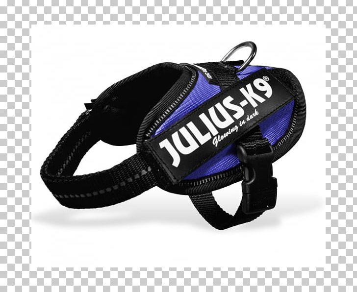 Protective Gear In Sports Cobalt Blue Leash PNG, Clipart, Bicycle Helmet, Bicycle Helmets, Blue, Child Harness, Cobalt Free PNG Download
